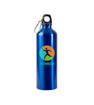 25 oz. Aluminum Alpine Bottle - Full Color Imprint