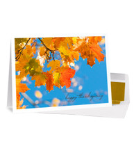 Clear Blue Sky Thanksgiving Card