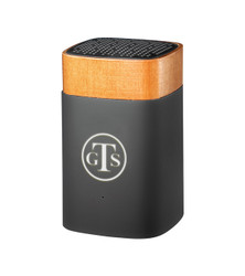 Portable & Bluetooth Speakers