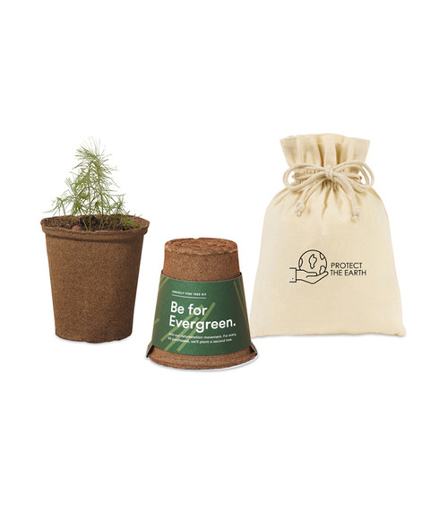 Modern Sprout One For One Tree Kit