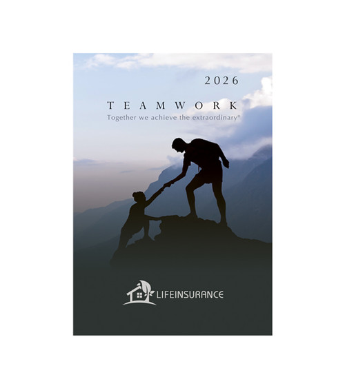 Teamwork Zenith Date Log