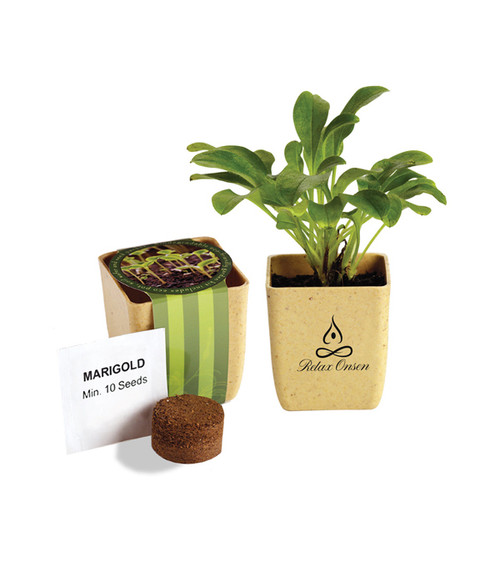 Flower Pot Set With Marigold Seeds