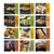 Grilling Wall Calendar