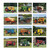 Classic Tractors Wall Calendar