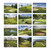 Fairways & Greens Wall Calendar