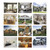 Welcome Home Wall Calendar