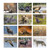 Wildlife Portraits Wall Calendar