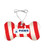 Acrylic Holiday Ornaments - Dog Bone