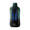 Lost Mary VIZ Disposable Vape 55000 Puffs