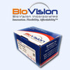 Tau Antibody