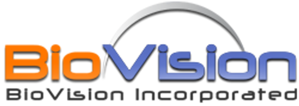 Anti-SARS-CoV-2 RBD Antibody (Clone# CV30)