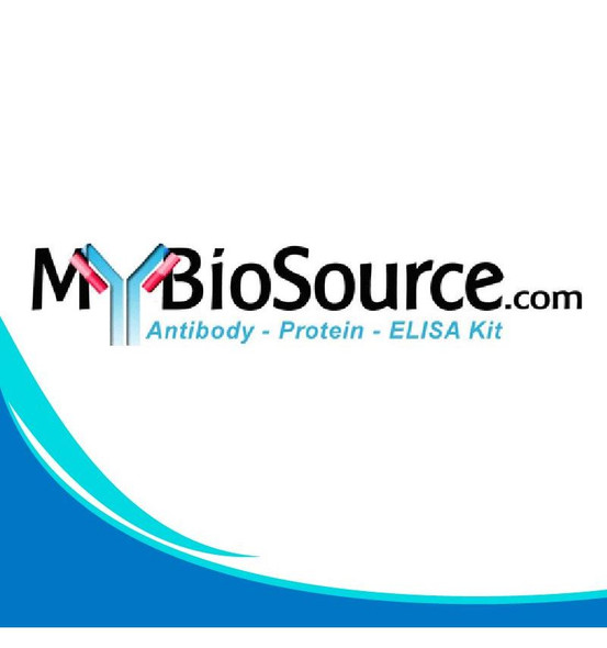 Sheep Elastin Microfibril Interface Located Protein 1 ELISA Kit