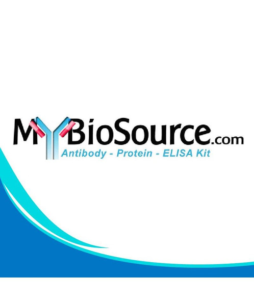 Porcine Macrophage MigRation Inhibitory Factor ELISA Kit