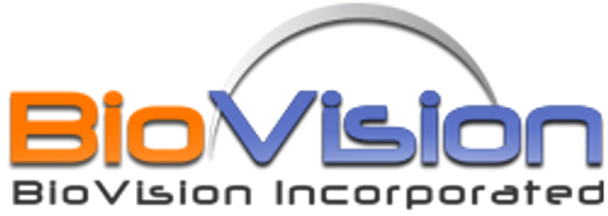 Anti-TXNRD2 Antibody (3F2-E12-F10)
