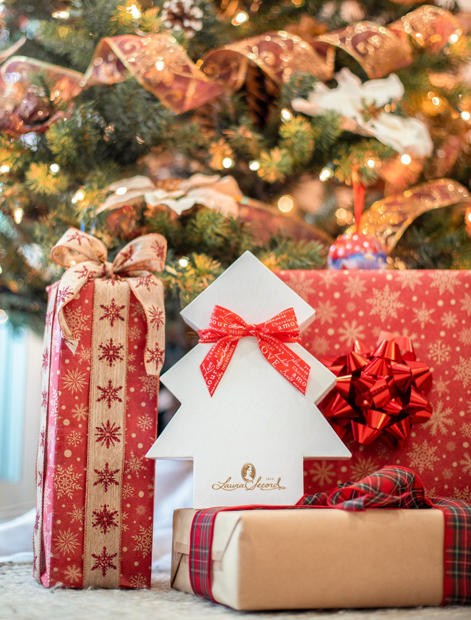 Boîte sapin - Chocolats Signature au caramel salé 288 g [93378]