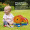 Lion Shape Sorter