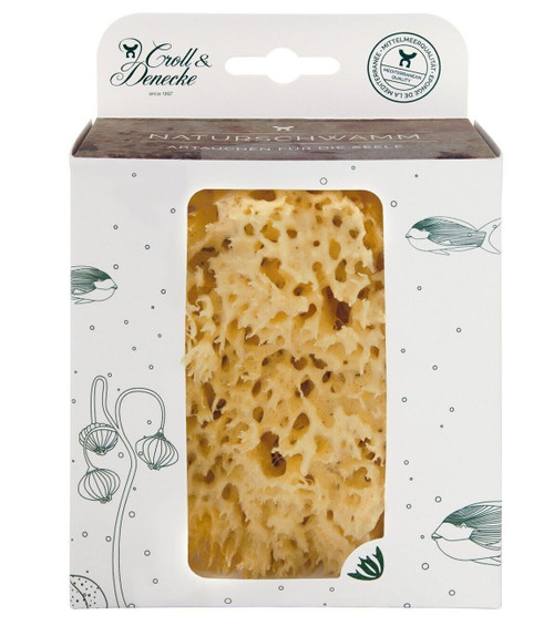 Natural Sponge Large
