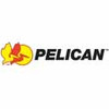 Pelican