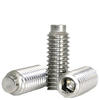 #10-32 x 5/16" Socket Set Screws 1/2 Dog Point Fine 18-8 Stainless (2,500/Bulk Pkg.)