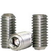 1/2"-20 x 1/2" Socket Set Screws Cup Point Fine 18-8 Stainless (2,500/Bulk Pkg.)