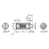 Kipp #10-32 Spring Plungers, Pin Style, Hexagon Socket, Stainless Steel Body/POM Pin, Standard End Pressure (Qty. 1), K0320.A1