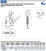 Kipp M6x35 Stainless Steel Vertical Toggle Clamp with Safety Interlock, Straight Foot, and Adjustable Clamping Spindle (1/Pkg.), K0663.106101