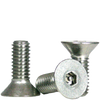 #6-32 x 3/8" (FT) Flat Head Socket Cap Security Screw with Pin, 18-8 Stainless Steel (100/Pkg.)