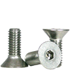 #10-32 x 1/2" (FT) Flat Head Socket Cap Security Screw with Pin, 18-8 Stainless Steel (100/Pkg.)