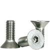 #10-24 x 5/8" (FT) Flat Head Socket Cap Security Screw with Pin, 18-8 Stainless Steel (100/Pkg.)
