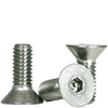#8-32 x 3/4" (FT) Flat Head Socket Cap Security Screw with Pin, 18-8 Stainless Steel (100/Pkg.)