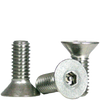 3/8"-16 x 3/4" (FT) Flat Head Socket Cap Security Screw with Pin, 18-8 Stainless Steel (100/Pkg.)