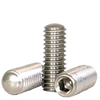 #2-56 x 3/16" Socket Set Screws Oval Point, 18-8 Stainless Steel (100/Pkg.)