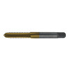 1/4"-28 HSS Straight Flute Plug Gold Oxide Type 24-AG 4F H2 (Qty. 1), Norseman Drill #72932