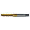 5/8"-18 HSS Straight Flute Plug Gold Oxide Type 24-AG 4F H2 (Qty. 1), Norseman Drill #73162