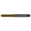 1/4"-20 HSS Straight Flute PLUG Tap Type 24-AGN Titanium Nitrides 4F H2 (Qty. 1), Norseman Drill #44312