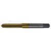 9/16"-12 HSS Straight Flute PLUG Tap Type 24-AGN Titanium Nitride 4F H5 (Qty. 1), Norseman Drill #44522