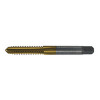 M24-2.00 Metric - Straight Flute Plug Taps Gold Oxide Type 32-AG D7 (Qty. 1), Norseman Drill #66392