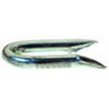 1-3/4" Fence Staples, 9-Gauge, Electrogalvanized, Barbed Shank, (1 lb Box/12 Boxes), Grip Rite #134EGFS1