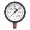 Dixon Valve Brass Liquid Filled Gauges, 0 to 160 psi, 1/4 in NPT(M), Center Back Mount, 1 EA, #GLBRC160