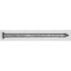 Hot-Dip Galvanized, Plain Shank, Siding Nails, 2", (50 lb/Box), #S255050