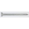 Hot-Dip Galvanized Plain Shank Box Nails for Wood & Hardboard Siding, 3-1/2", 80 Nails/lb., 50 Lb. Box