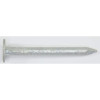 Hot-Dip Galvanized Plain Shank Large Head Vinyl Siding Nails, 2", (50 lb/Box), #S105050