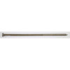 Bright Ring Shank "Skinny Spikes", 10", (50 lb/Bucket), #L369A050