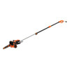 Black+Decker 10" 2-in-1 Electric Pole Chainsaw, 8 Amp #BECSP601 (1/Pkg.)