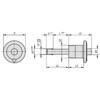 Kipp Ball Lock Pin w/Mushroom Grip, D1=6, L =30, L1=7, L5=37, Stainless Steel, (Qty. 1), K0641.02106030