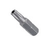 T30 X 1" Torx Tamper Proof Screwdriver Bits (25 Pkg.)