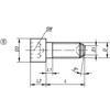 Kipp Ball End Thrust Screw w/Hexagon Socket Head, w/Flattened Ball, Style B, D=M04, L=9.7 mm, Stainless Steel, (Qty. 1), K0381.20410