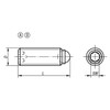 Kipp Ball End Thrust Screw w/o Head, w/Full Ball, Style A, D=M04, L=10 mm, Carbon Steel, (10/Pkg), K0382.10410