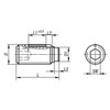 Kipp Thrust Screw, w/o Head, M08X21.6, SW=4, Steel, Black, (10/Pkg), K0668.308X216