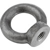Kipp Ring Nut Fixed, DIN 582, M12, Stainless Steel, (Qty. 1), K0768.112